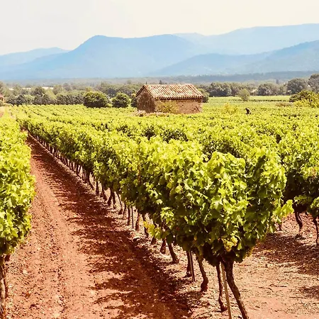 Le Clos Des Flots Proche Plages Et Centre * Carqueiranne